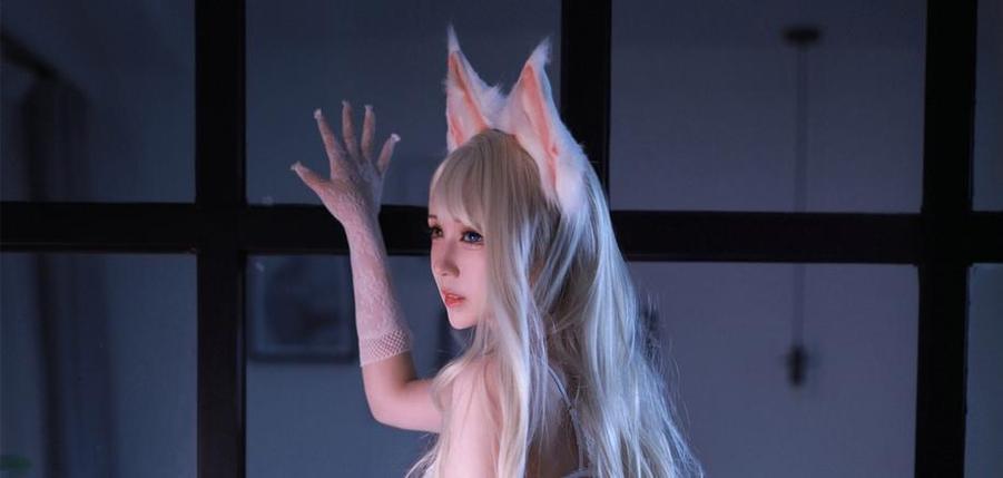 黑白御猫图片夜色中的诱惑，让你无法抗拒 图1